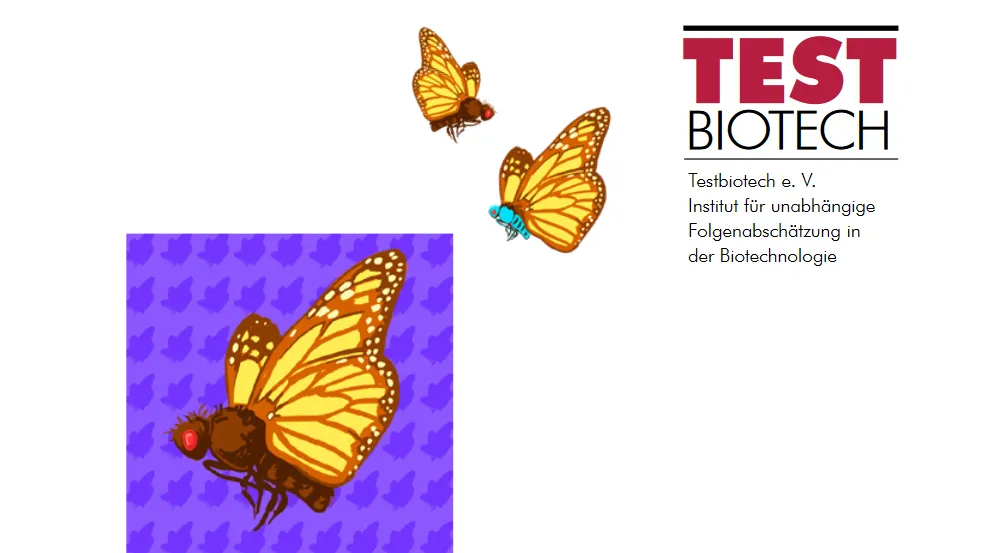 DNR_Testbiotech-Studie